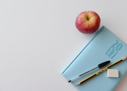 international school job Korea - Employment