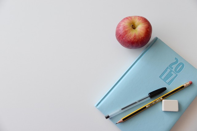 international school job Korea - Employment