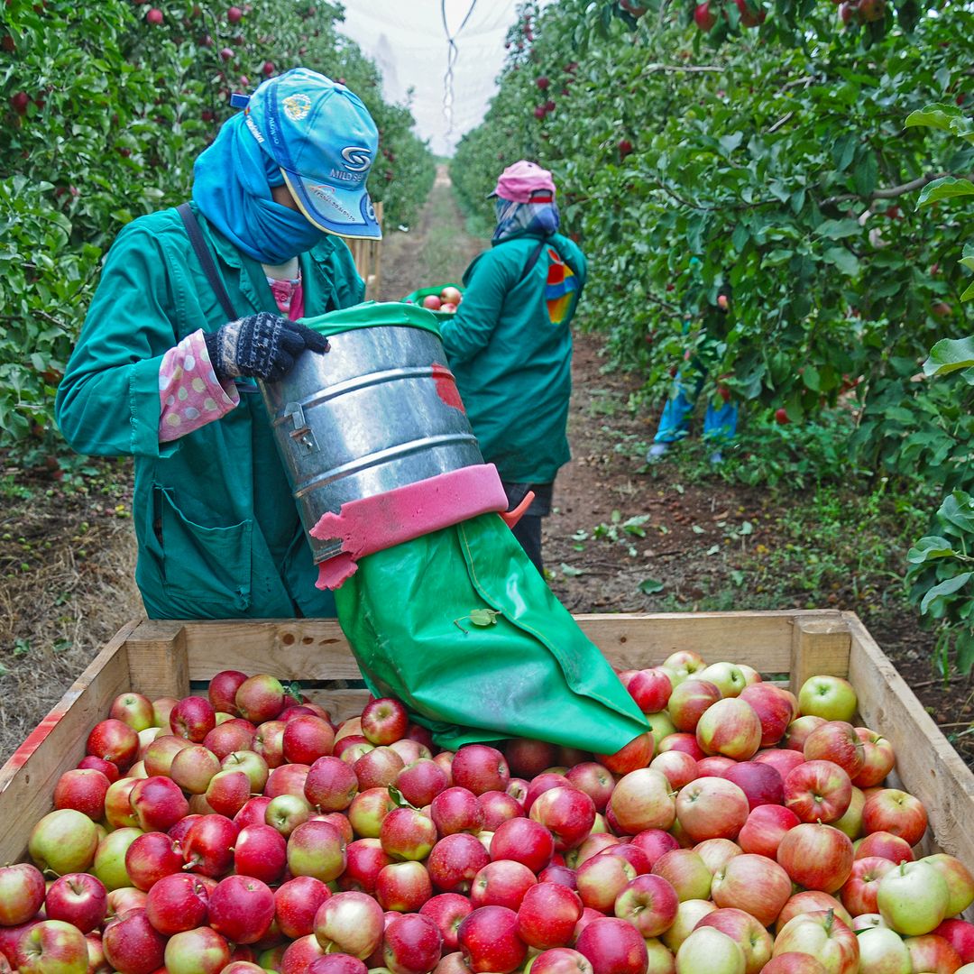 E-8 Seasonal Worker Pay Rates and Legal Compensation Standards in South Korea