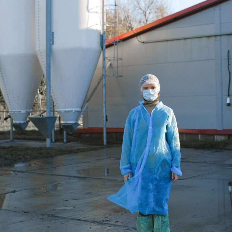 Employment Requirements and Labor Protections for a Slaughterhouse worker E-7-3 Korea